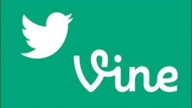 يلون ماسك يدرس إحياء منصة Vine.
