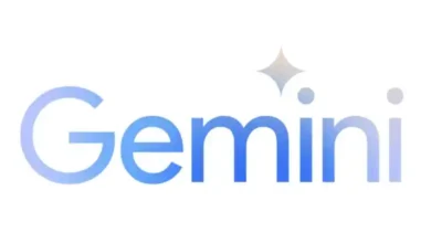 قاعدة مستخدمي Gemini