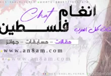 شات انغام فلسطين